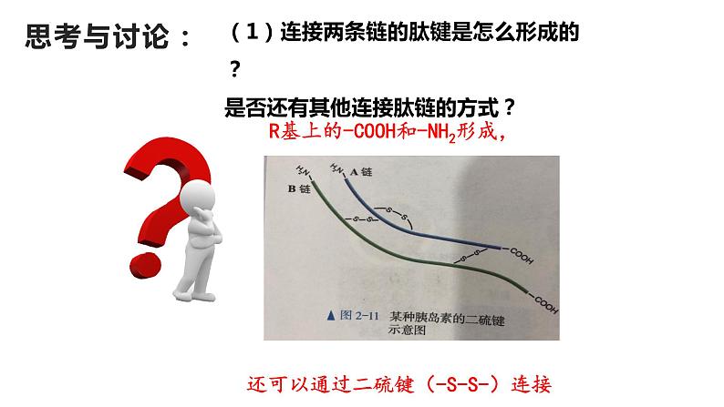 1.2 生物大分子以碳链为骨架——蛋白质（第3课时）-【高效备课】2022-2023学年高一生物同步备课优质课件（浙科版2019必修1）06