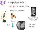 2.1 细胞是生命的单位-【高效备课】2022-2023学年高一生物同步备课优质课件（浙科版2019必修1）