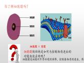 2.2 细胞膜控制细胞与周围环境的联系-【高效备课】2022-2023学年高一生物同步备课优质课件（浙科版2019必修1）