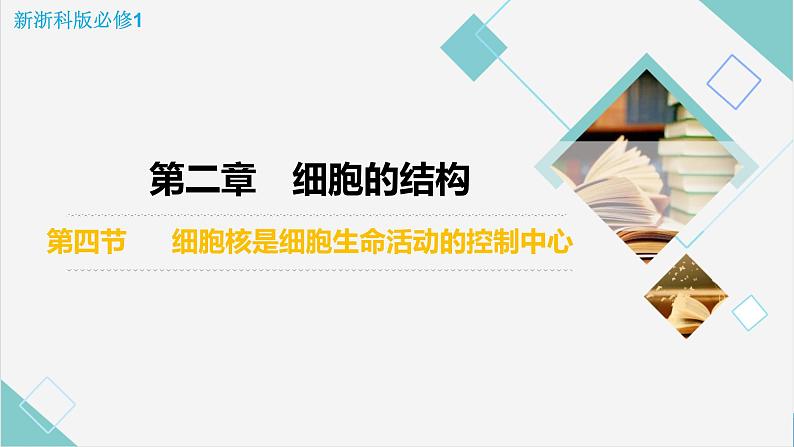 2.4 细胞核是细胞生命活动的控制中心-【高效备课】2022-2023学年高一生物同步备课优质课件（浙科版2019必修1）03