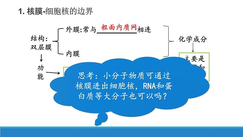 2.4 细胞核是细胞生命活动的控制中心-【高效备课】2022-2023学年高一生物同步备课优质课件（浙科版2019必修1）06