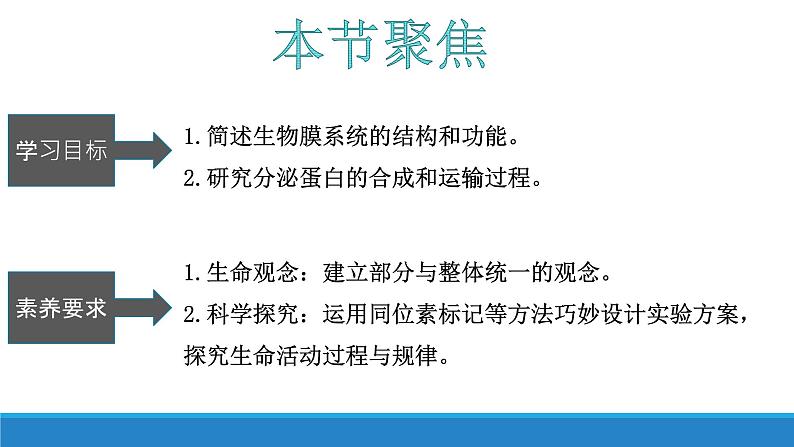 2.5 细胞在结构和功能上是一个统一整体-【高效备课】2022-2023学年高一生物同步备课优质课件（浙科版2019必修1）05