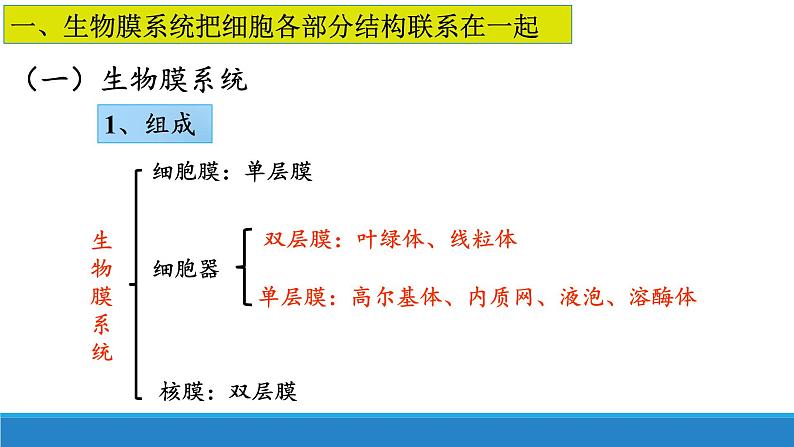 2.5 细胞在结构和功能上是一个统一整体-【高效备课】2022-2023学年高一生物同步备课优质课件（浙科版2019必修1）06