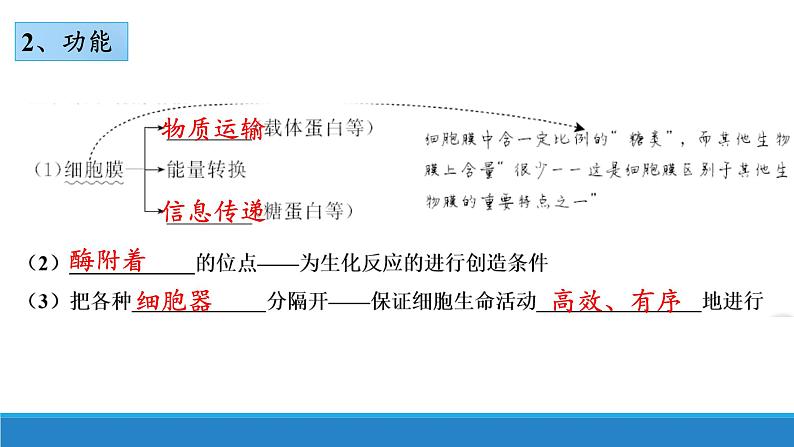 2.5 细胞在结构和功能上是一个统一整体-【高效备课】2022-2023学年高一生物同步备课优质课件（浙科版2019必修1）08