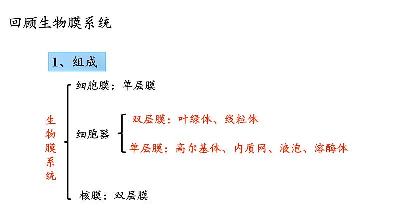 2.6 原核细胞内无成形的细胞核-【高效备课】2022-2023学年高一生物同步备课优质课件（浙科版2019必修1）01