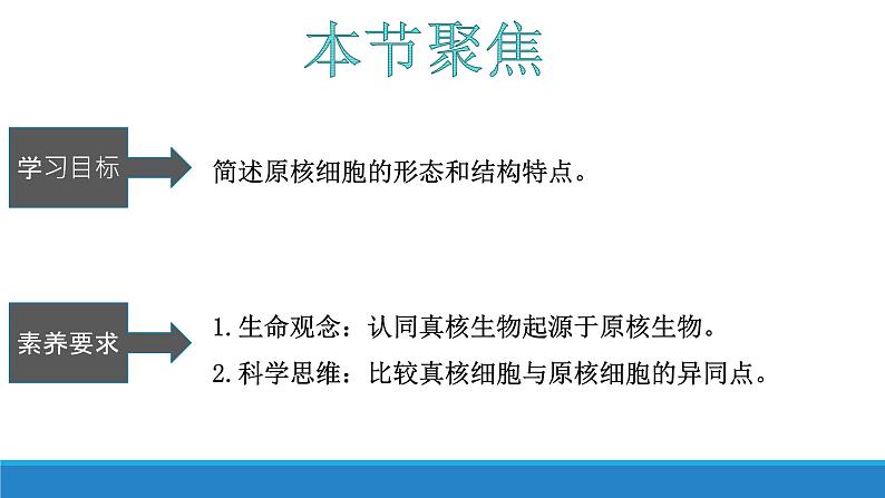 2.6 原核细胞内无成形的细胞核-【高效备课】2022-2023学年高一生物同步备课优质课件（浙科版2019必修1）03