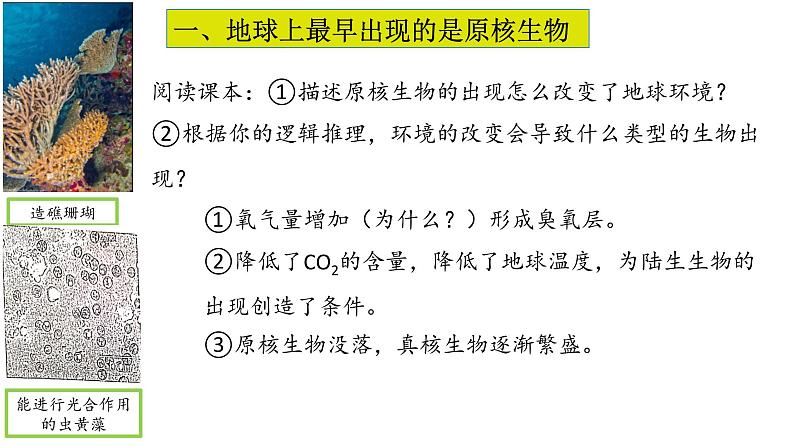 2.6 原核细胞内无成形的细胞核-【高效备课】2022-2023学年高一生物同步备课优质课件（浙科版2019必修1）05