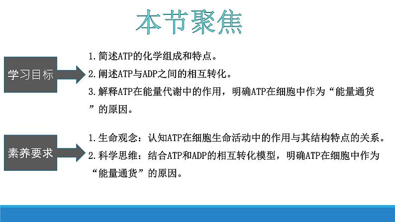 3.1 ATP是细胞内的“能量通货”-【高效备课】2022-2023学年高一生物同步备课优质课件（浙科版2019必修1）05