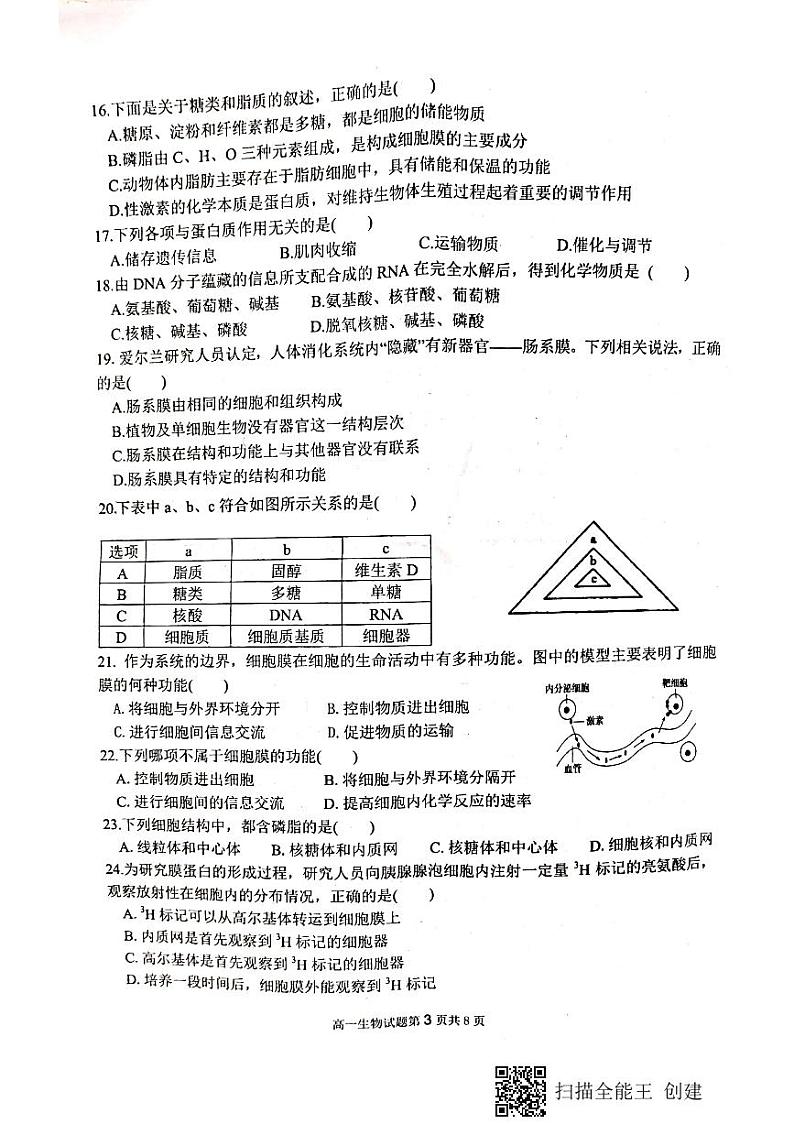 2019-2020学年安徽师范大学附属中学高一上学期期中考查生物试题 PDF版第3页