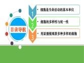 【高考大一轮单元复习】高考生物单元复习课件与检测-第01讲《走近细胞》（新教材新高考）