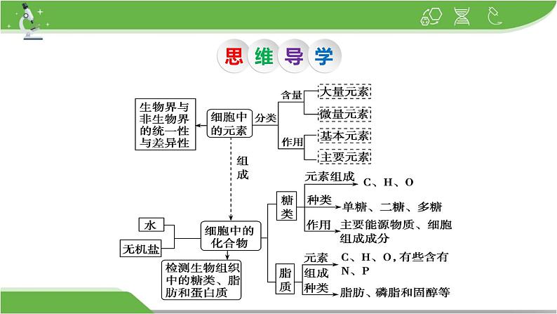 【高考大一轮单元复习】高考生物单元复习课件与检测-第02讲《细胞中的无机物、糖类和脂质》（新教材新高考）05