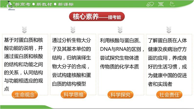 【高考大一轮单元复习】高考生物单元复习课件与检测-第03讲《蛋白质和核酸》第3页