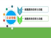 【高考大一轮单元复习】高考生物单元复习课件与检测-第04讲《细胞膜与细胞核》（新教材新高考）