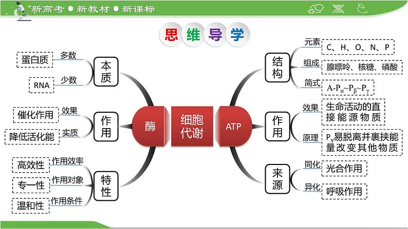 【高考大一轮单元复习】高考生物单元复习课件与检测-第07讲《ATP和酶》（新教材新高考）05