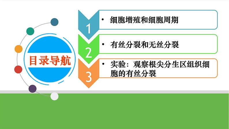 【高考大一轮单元复习】高考生物单元复习课件与检测-第10讲《细胞的增殖》第4页