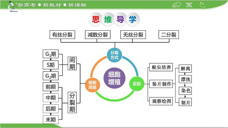 【高考大一轮单元复习】高考生物单元复习课件与检测-第10讲《细胞的增殖》第5页