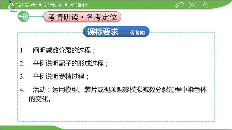 【高考大一轮单元复习】高考生物单元复习课件与检测-第11讲《减数分裂和受精作用》（新教材新高考）第2页