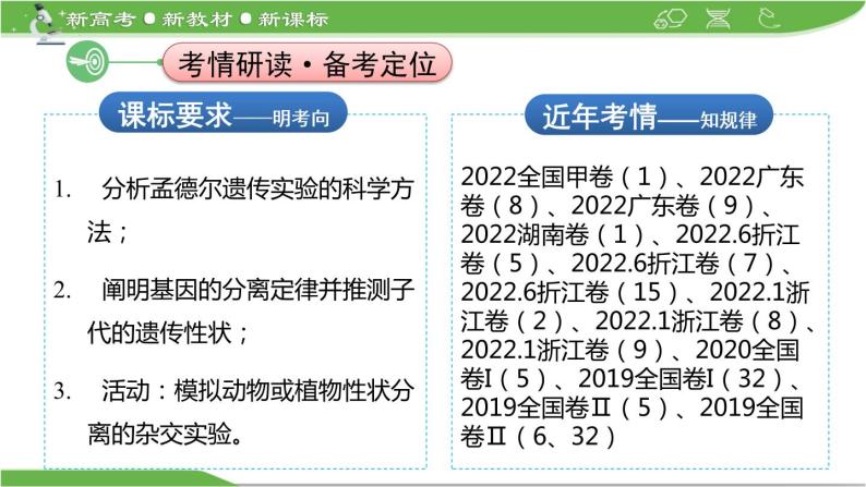 【高考大一轮单元复习】高考生物单元复习课件与检测-第13讲《孟德尔的豌豆杂交实验(一)——基因的分离定律》（新教材新高考）02