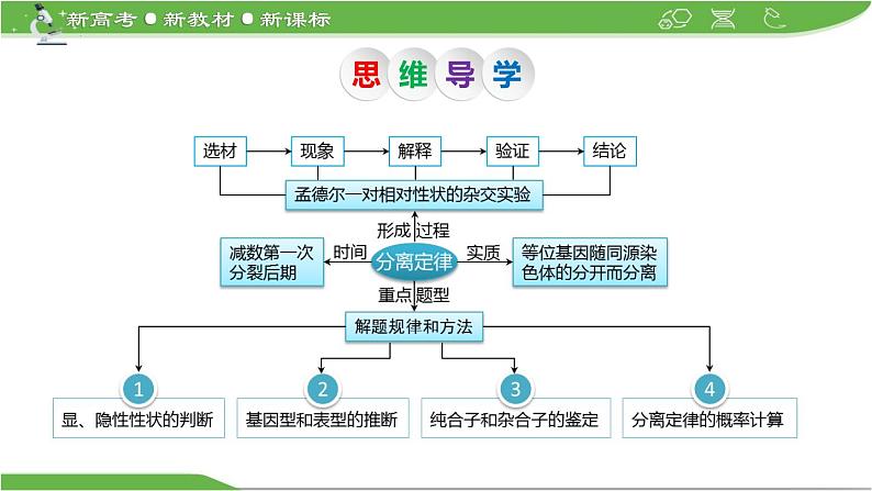 【高考大一轮单元复习】高考生物单元复习课件与检测-第13讲《孟德尔的豌豆杂交实验(一)——基因的分离定律》第5页