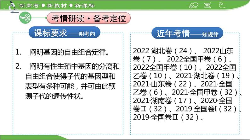 【高考大一轮单元复习】高考生物单元复习课件与检测-第14讲《孟德尔的豌豆杂交实验(二)——基因的自由组合定律》第2页