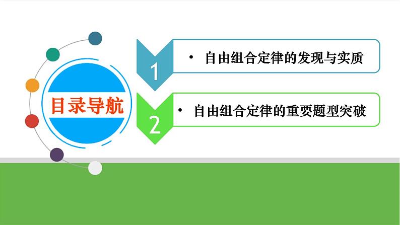 【高考大一轮单元复习】高考生物单元复习课件与检测-第14讲《孟德尔的豌豆杂交实验(二)——基因的自由组合定律》第4页