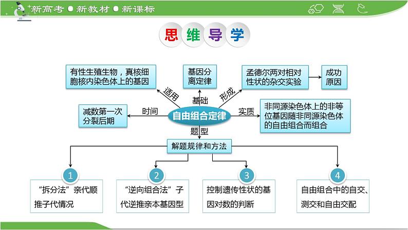 【高考大一轮单元复习】高考生物单元复习课件与检测-第14讲《孟德尔的豌豆杂交实验(二)——基因的自由组合定律》第5页