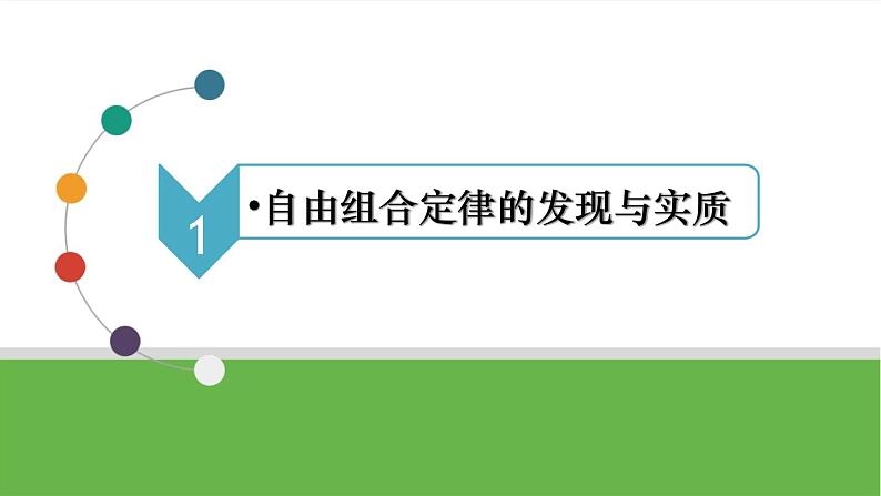 【高考大一轮单元复习】高考生物单元复习课件与检测-第14讲《孟德尔的豌豆杂交实验(二)——基因的自由组合定律》第6页