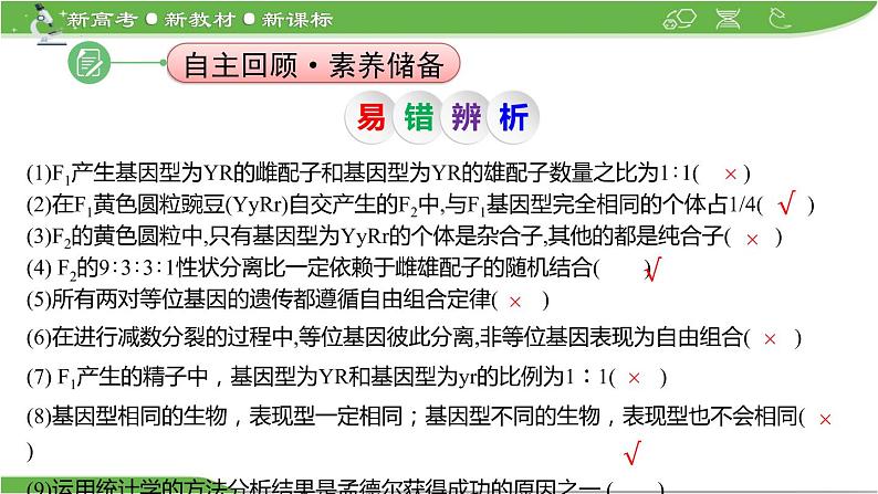【高考大一轮单元复习】高考生物单元复习课件与检测-第14讲《孟德尔的豌豆杂交实验(二)——基因的自由组合定律》第7页