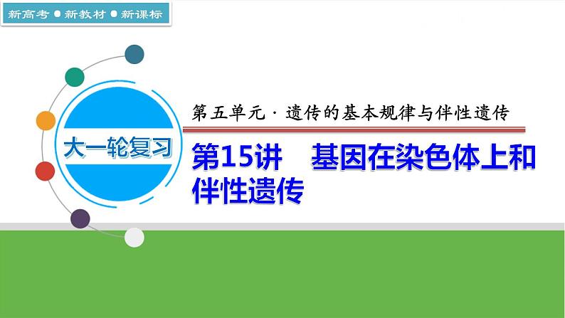 【高考大一轮单元复习】高考生物单元复习课件与检测-第15讲《基因在染色体上和伴性遗传》（新教材新高考）第1页