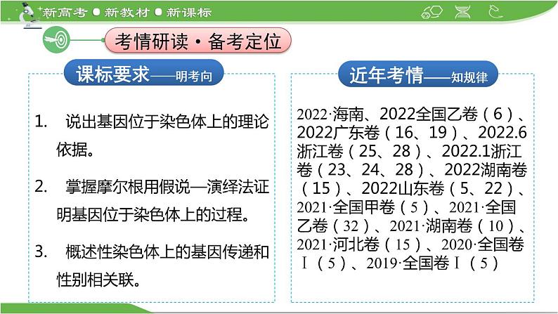 【高考大一轮单元复习】高考生物单元复习课件与检测-第15讲《基因在染色体上和伴性遗传》（新教材新高考）第2页