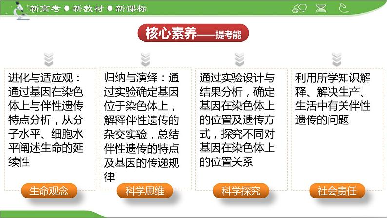 【高考大一轮单元复习】高考生物单元复习课件与检测-第15讲《基因在染色体上和伴性遗传》（新教材新高考）第3页