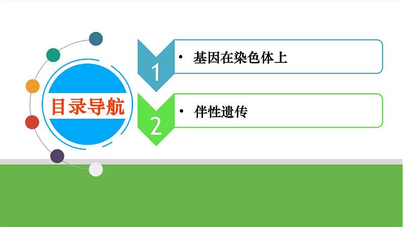 【高考大一轮单元复习】高考生物单元复习课件与检测-第15讲《基因在染色体上和伴性遗传》（新教材新高考）第4页