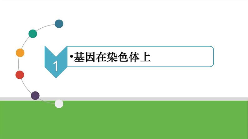【高考大一轮单元复习】高考生物单元复习课件与检测-第15讲《基因在染色体上和伴性遗传》（新教材新高考）第6页