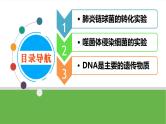 【高考大一轮单元复习】高考生物单元复习课件与检测-第16讲《DNA是主要的遗传物质》（新教材新高考）