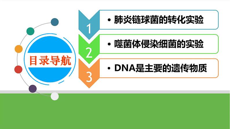 【高考大一轮单元复习】高考生物单元复习课件与检测-第16讲《DNA是主要的遗传物质》（新教材新高考）第4页