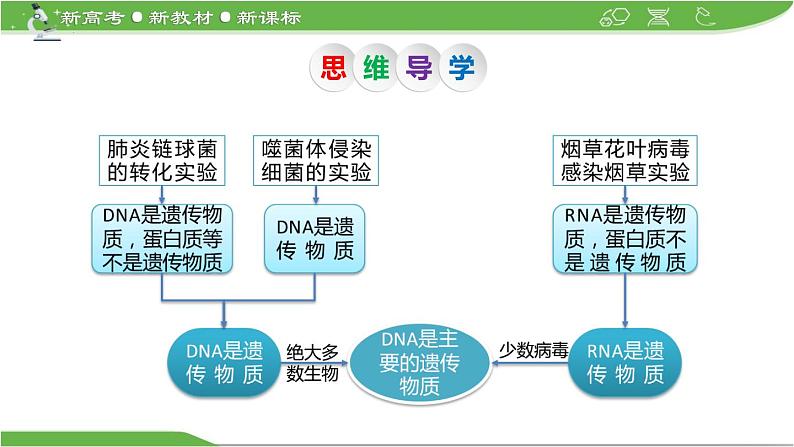 【高考大一轮单元复习】高考生物单元复习课件与检测-第16讲《DNA是主要的遗传物质》（新教材新高考）第5页