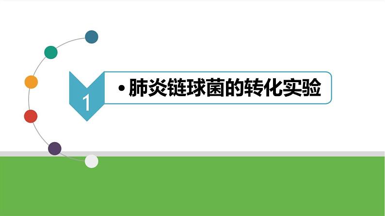 【高考大一轮单元复习】高考生物单元复习课件与检测-第16讲《DNA是主要的遗传物质》（新教材新高考）第6页