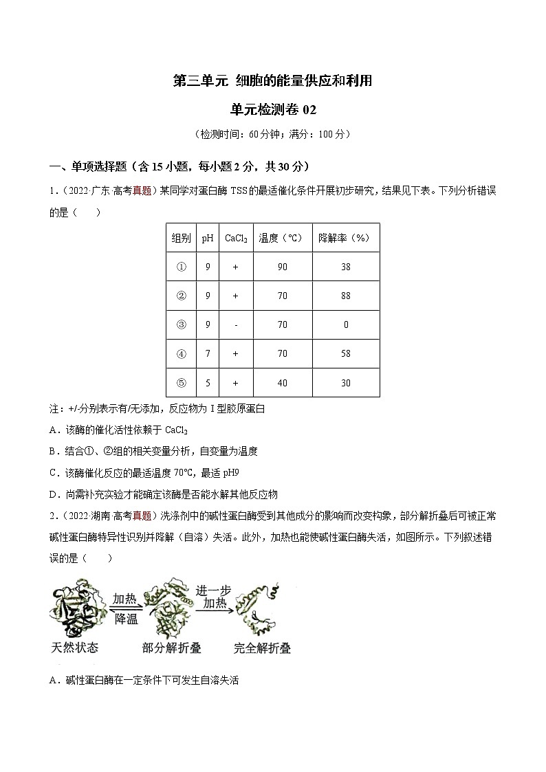 【高考大一轮单元复习】高考生物单元复习课件与检测-第三单元《细胞的能量供应和利用》（测试卷02）（新教材新高考）（原卷版）第1页
