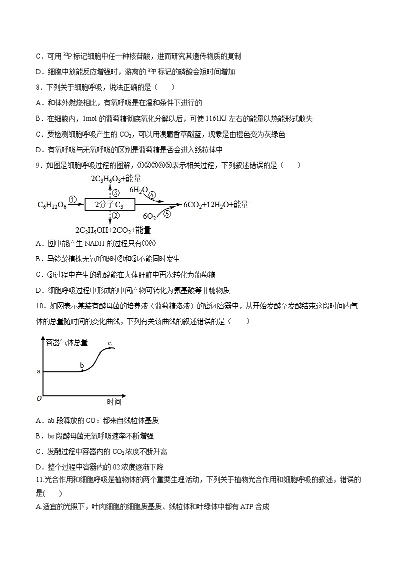 【高考大一轮单元复习】高考生物单元复习课件与检测-第三单元《细胞的能量供应和利用》（测试卷02）（新教材新高考）（原卷版）第3页