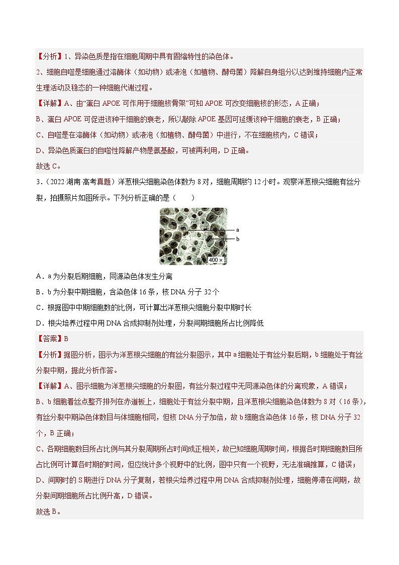 【高考大一轮单元复习】高考生物单元复习课件与检测-第四单元《细胞的生命历程》（测试卷）（新教材新高考）（解析版）第2页