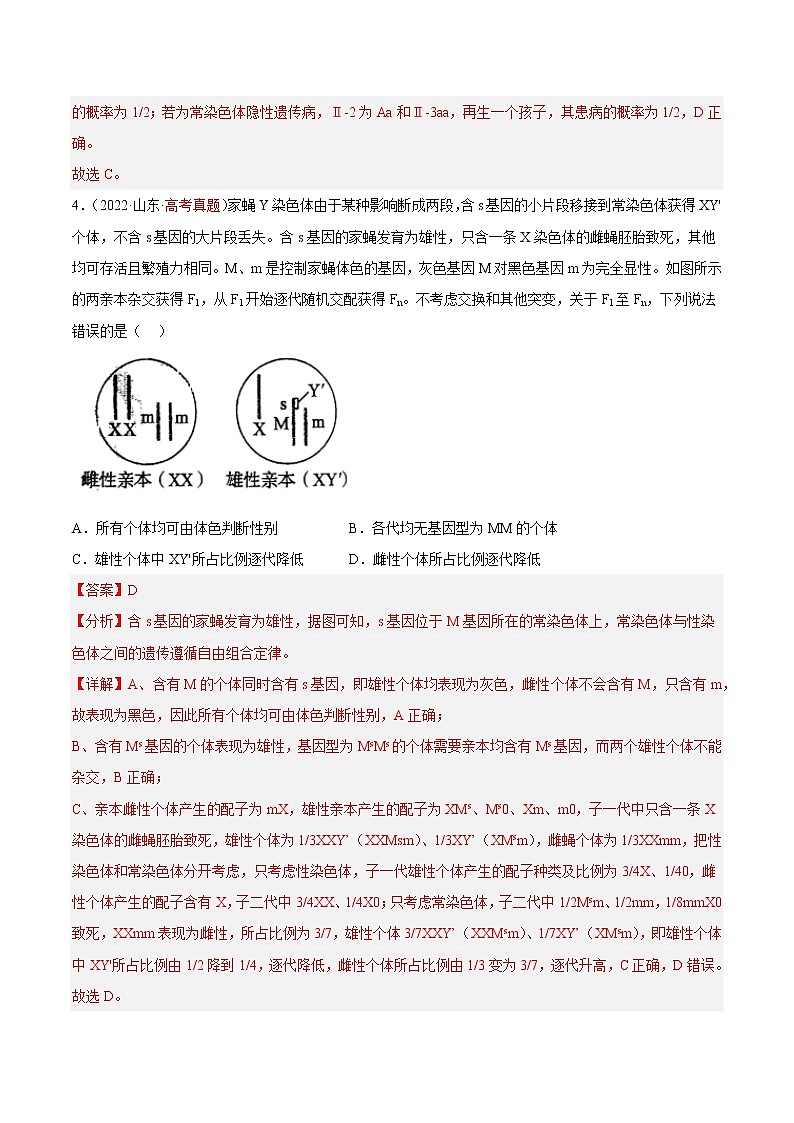 【高考大一轮单元复习】高考生物单元复习课件与检测-第五单元《遗传的基本规律与伴性遗传》（测试卷02）（新教材新高考）（解析版）第3页