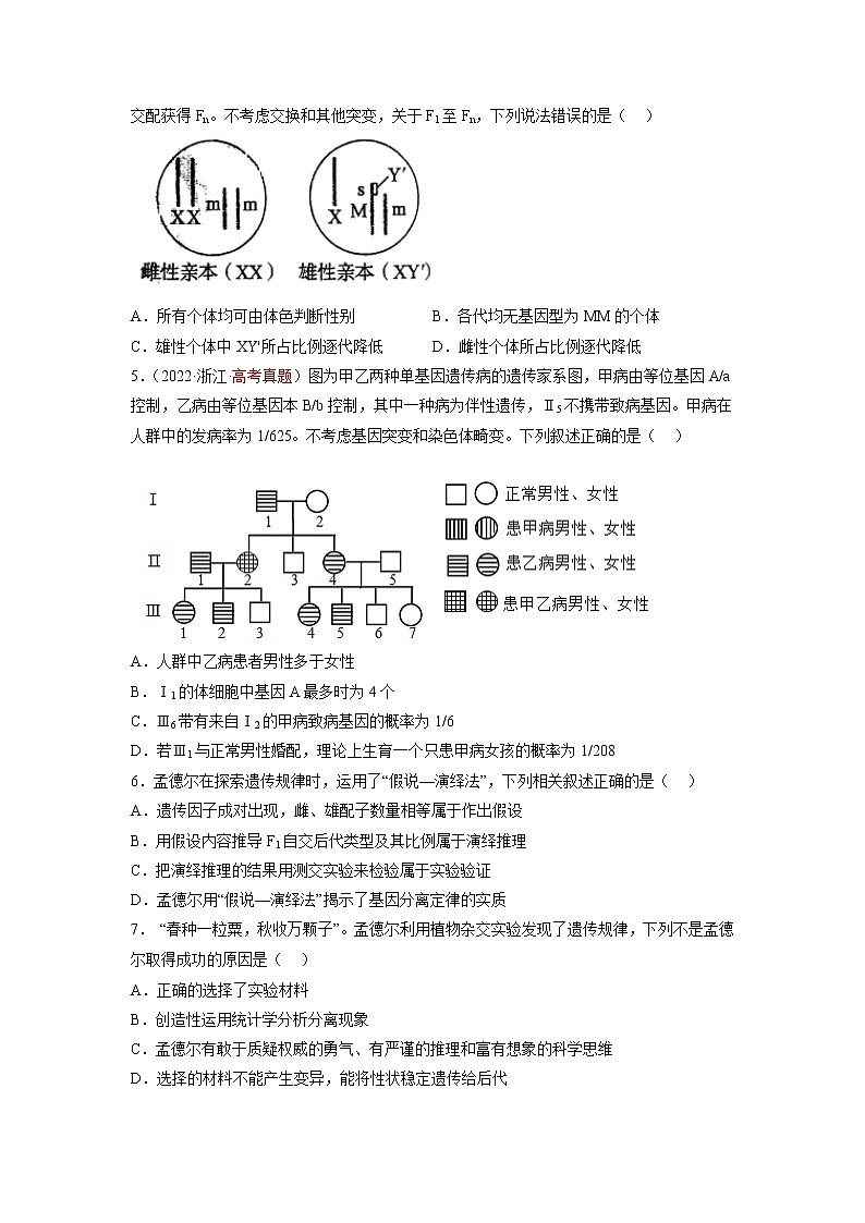【高考大一轮单元复习】高考生物单元复习课件与检测-第五单元《遗传的基本规律与伴性遗传》（测试卷02）（新教材新高考）（原卷版）第2页