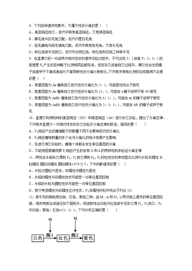 【高考大一轮单元复习】高考生物单元复习课件与检测-第五单元《遗传的基本规律与伴性遗传》（测试卷02）（新教材新高考）（原卷版）第3页