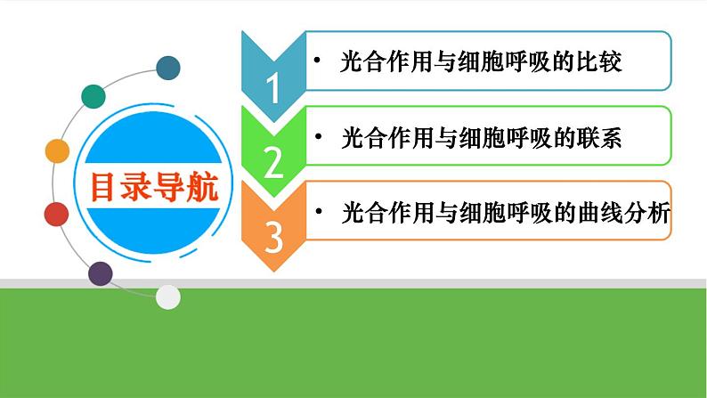 【高考大一轮单元复习】高考生物单元复习课件与检测-微专题01《光合作用与细胞呼吸知识综合》（新教材新高考）第4页