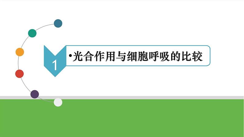 【高考大一轮单元复习】高考生物单元复习课件与检测-微专题01《光合作用与细胞呼吸知识综合》（新教材新高考）第6页