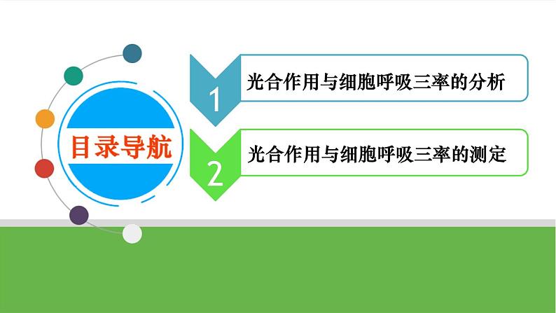 【高考大一轮单元复习】高考生物单元复习课件与检测-微专题02《光合作用与细胞呼吸三率的分析与测定》（新教材新高考）第2页