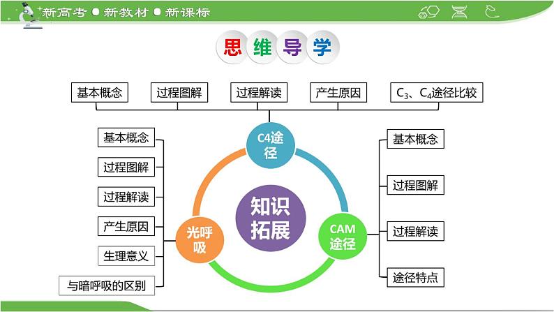 【高考大一轮单元复习】高考生物单元复习课件与检测-微专题03《C4途径、CAM途径及光呼吸》（新教材新高考）03