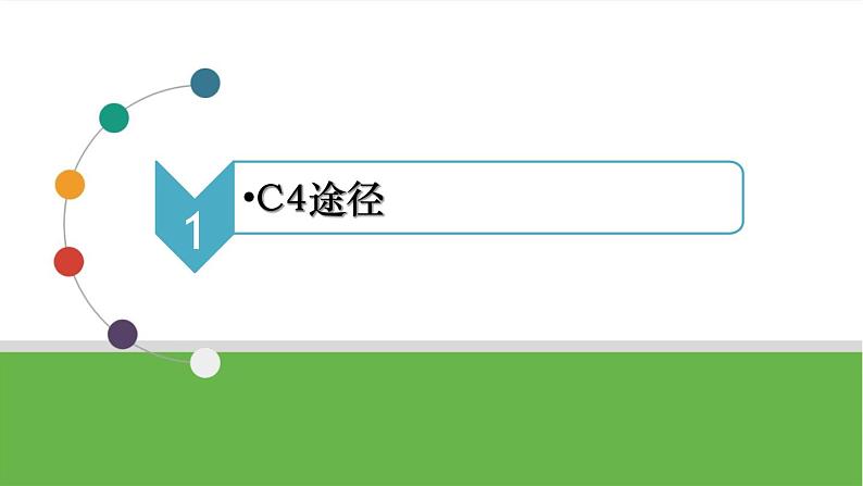 【高考大一轮单元复习】高考生物单元复习课件与检测-微专题03《C4途径、CAM途径及光呼吸》（新教材新高考）04