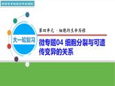 【高考大一轮单元复习】高考生物单元复习课件与检测-微专题04《细胞分裂与可遗传变异的关系》（新教材新高考）