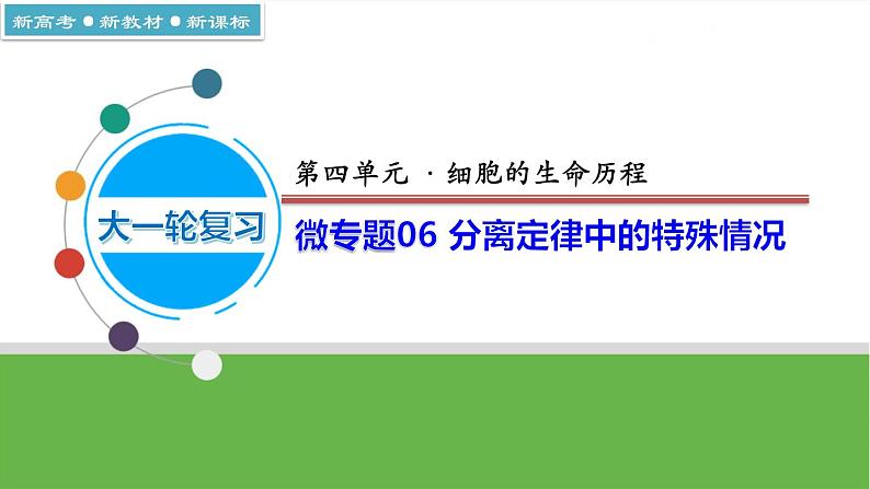 【高考大一轮单元复习】高考生物单元复习课件与检测-微专题06《分离定律中的特殊情况》（新教材新高考）第1页